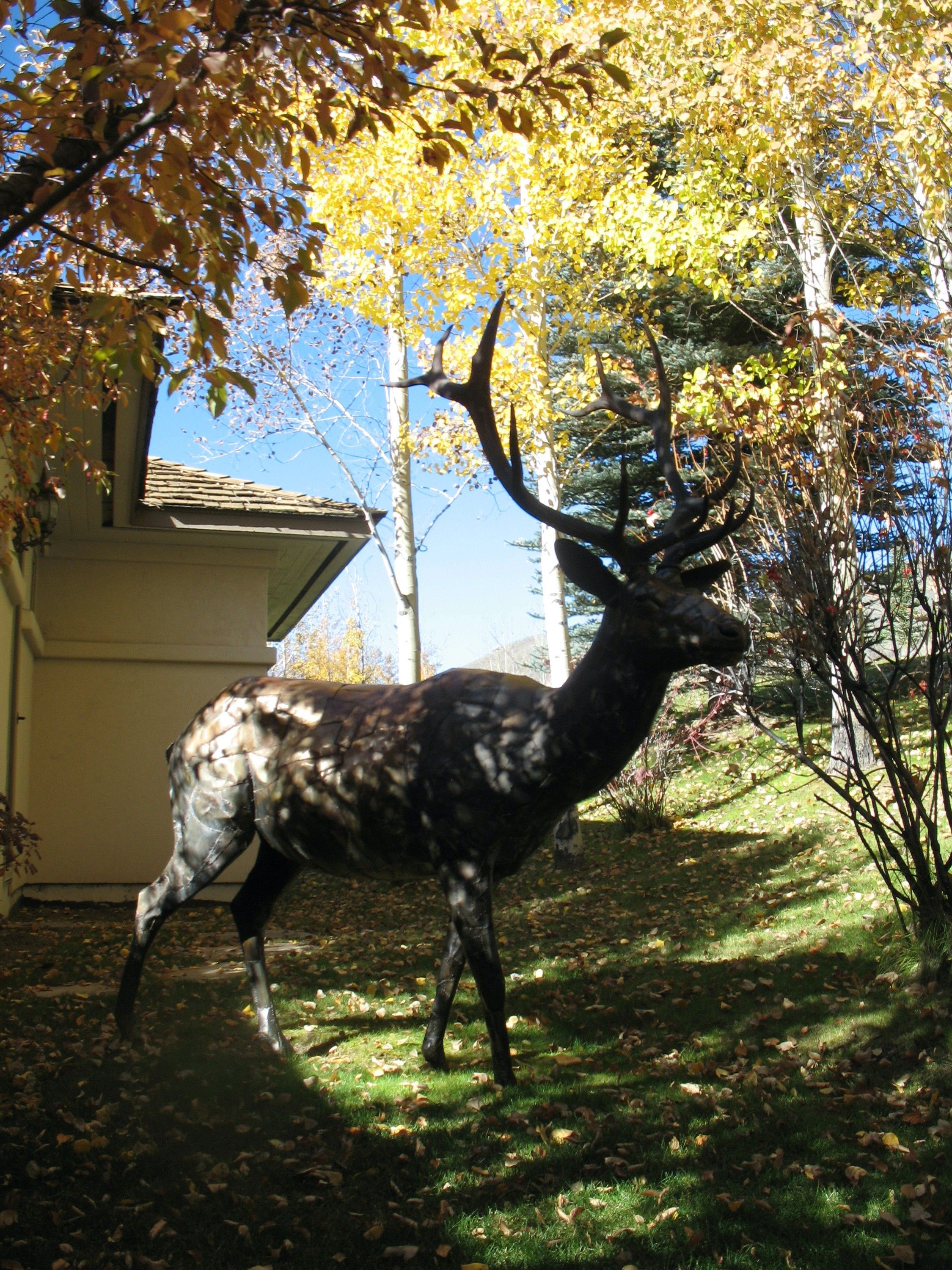 The welded steel bull elk striding across a leaf-strewn lawn beneath yellow aspens