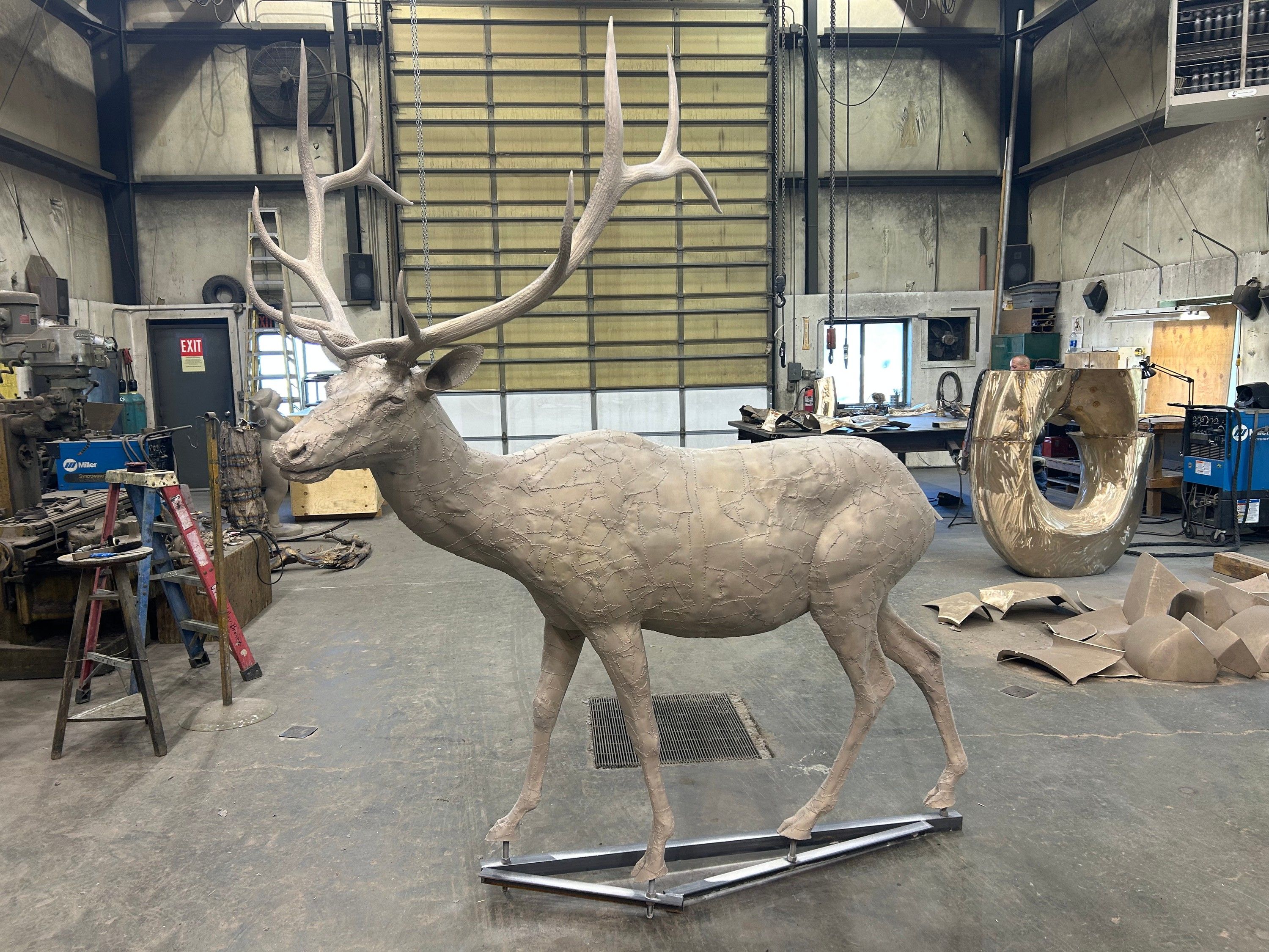 The unpatinaed bronze bull elk standing on a steel frame in the shop, seen from the side