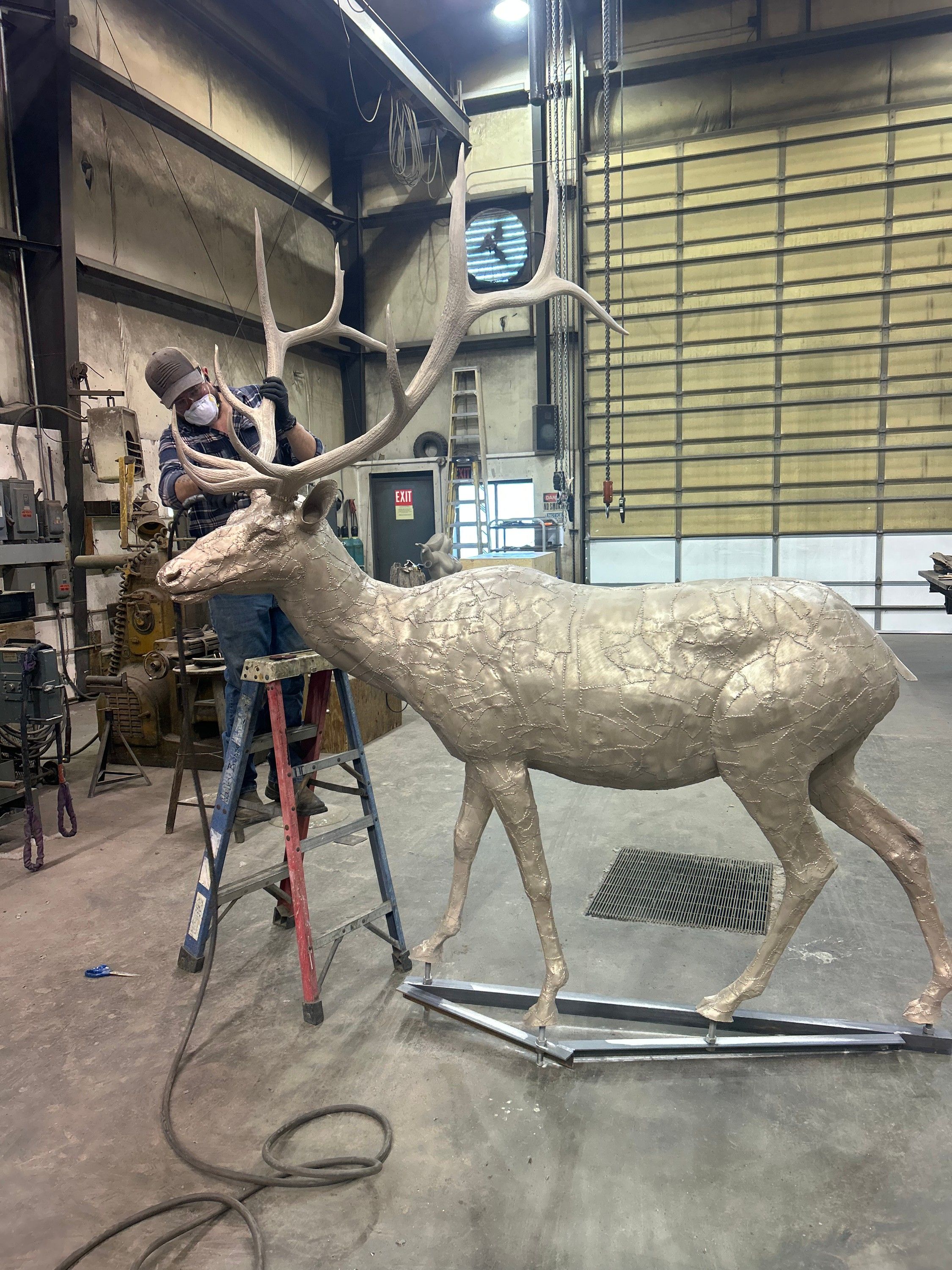 A man on a stepladder working on the antlers of the unpatinaed bronze bull elk in the shop