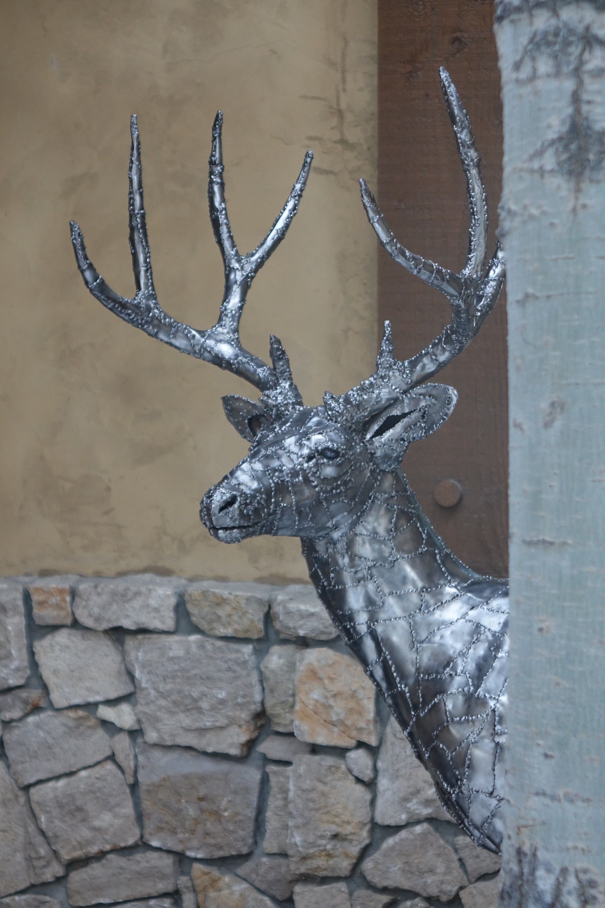 The buck's head from the front, ears out to either side and the antler beams rising behind them