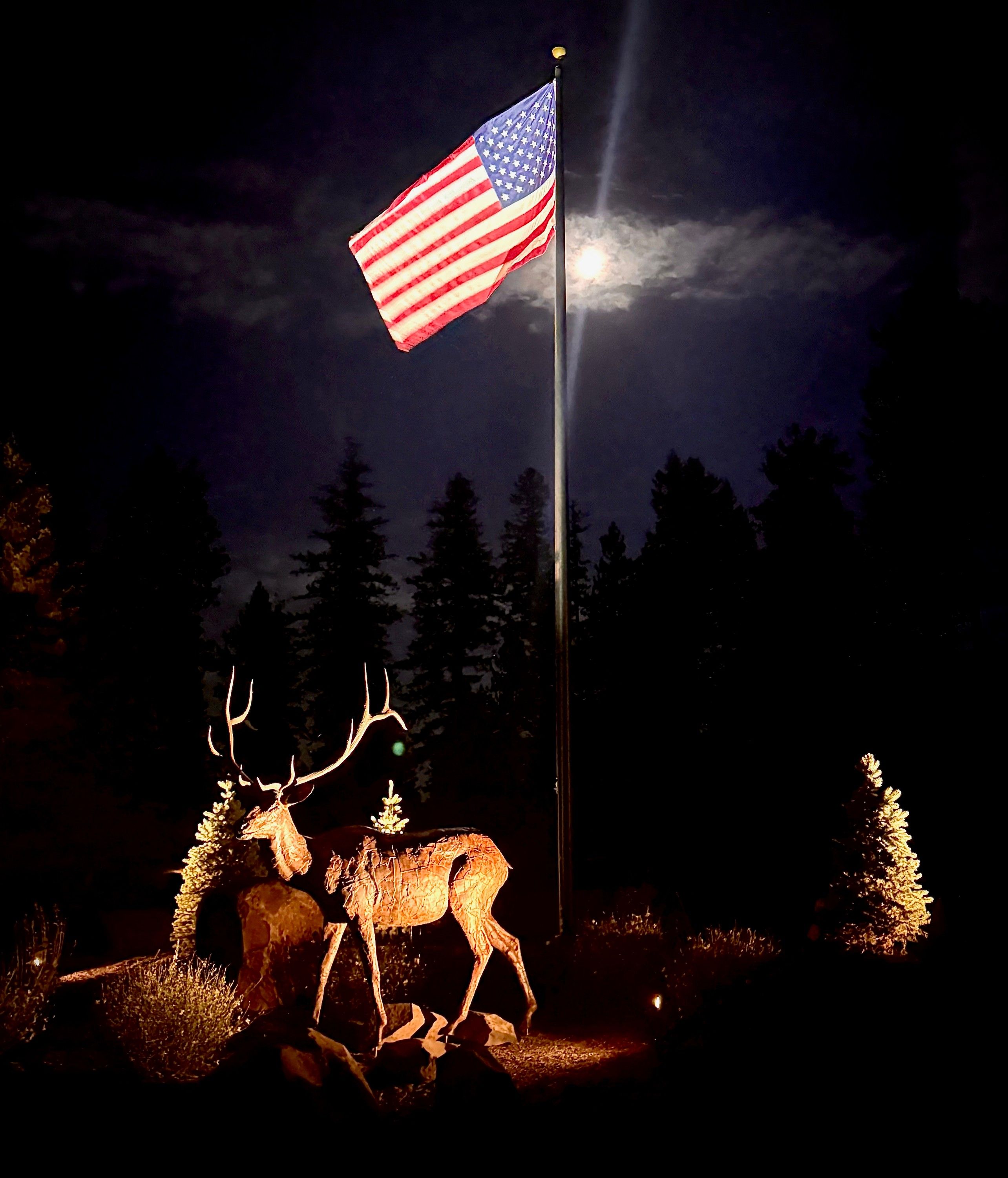 Life-size bronze bull elk at night beneath an American flag and a full moon
