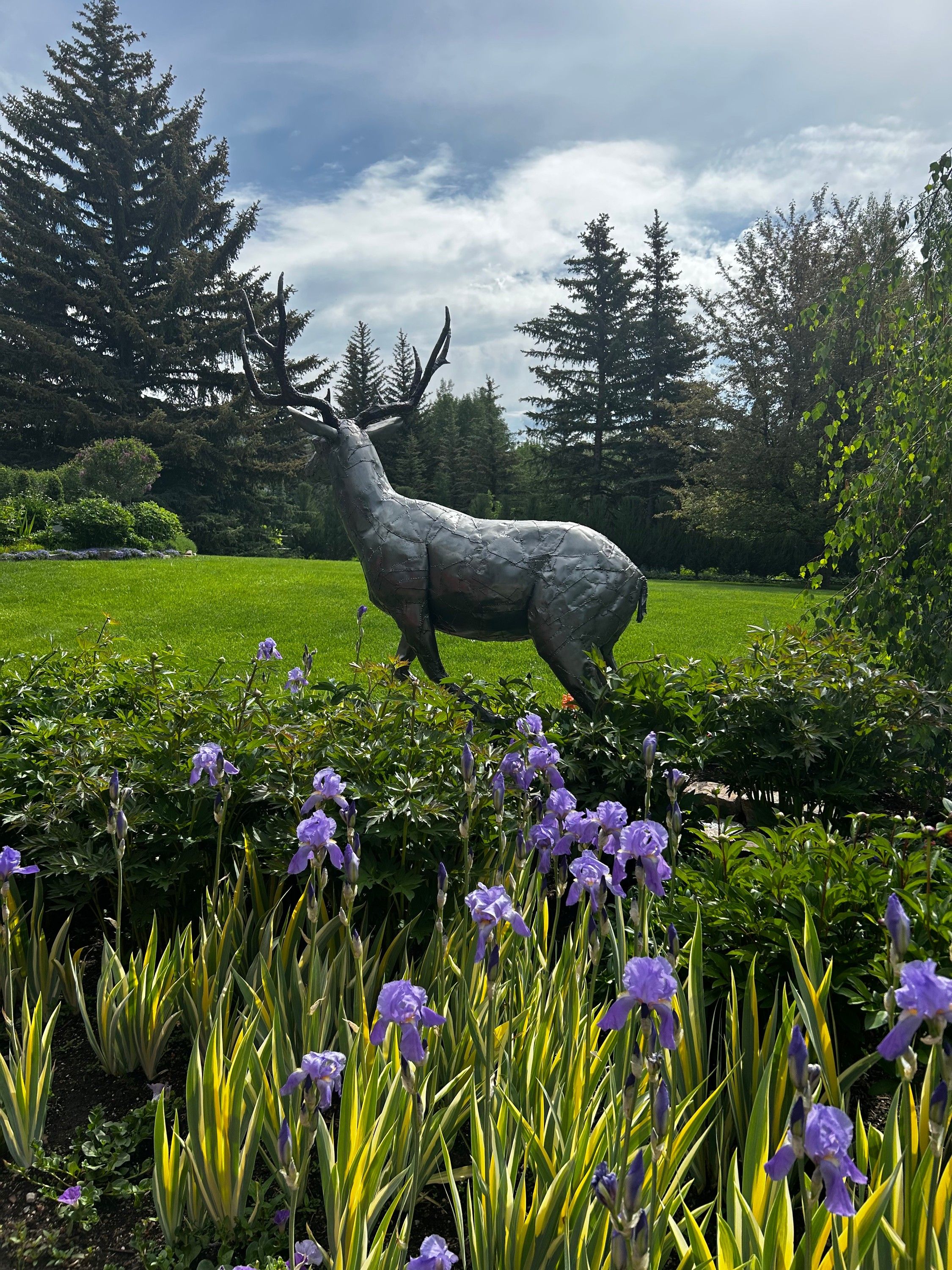 A steel mule deer in mid-leap above a bed of purple irises, its body dark against a cloudy sky with spruce trees beyond