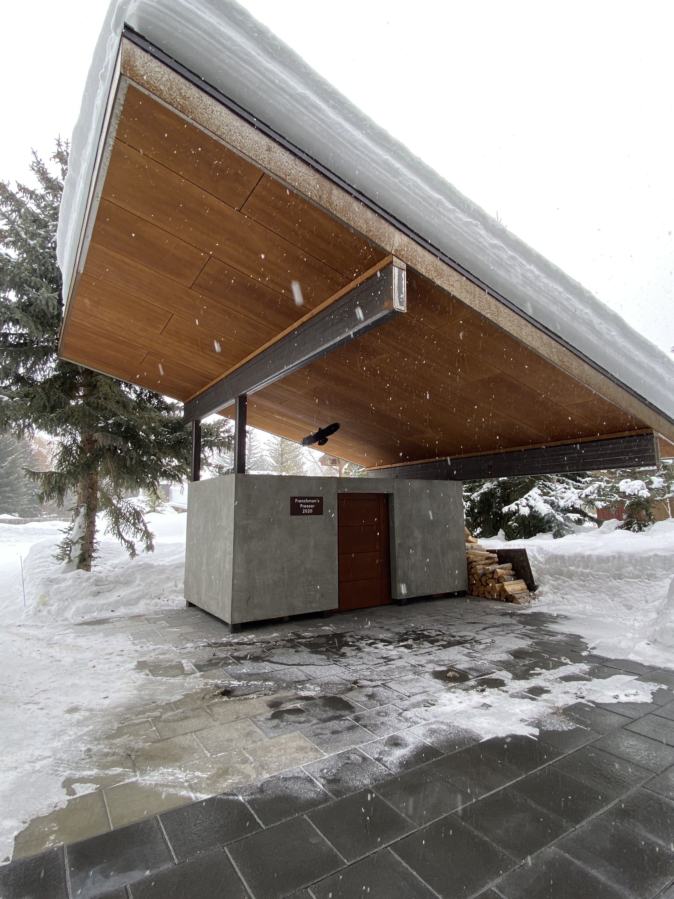 The hawk under the snow-covered roof in falling snow