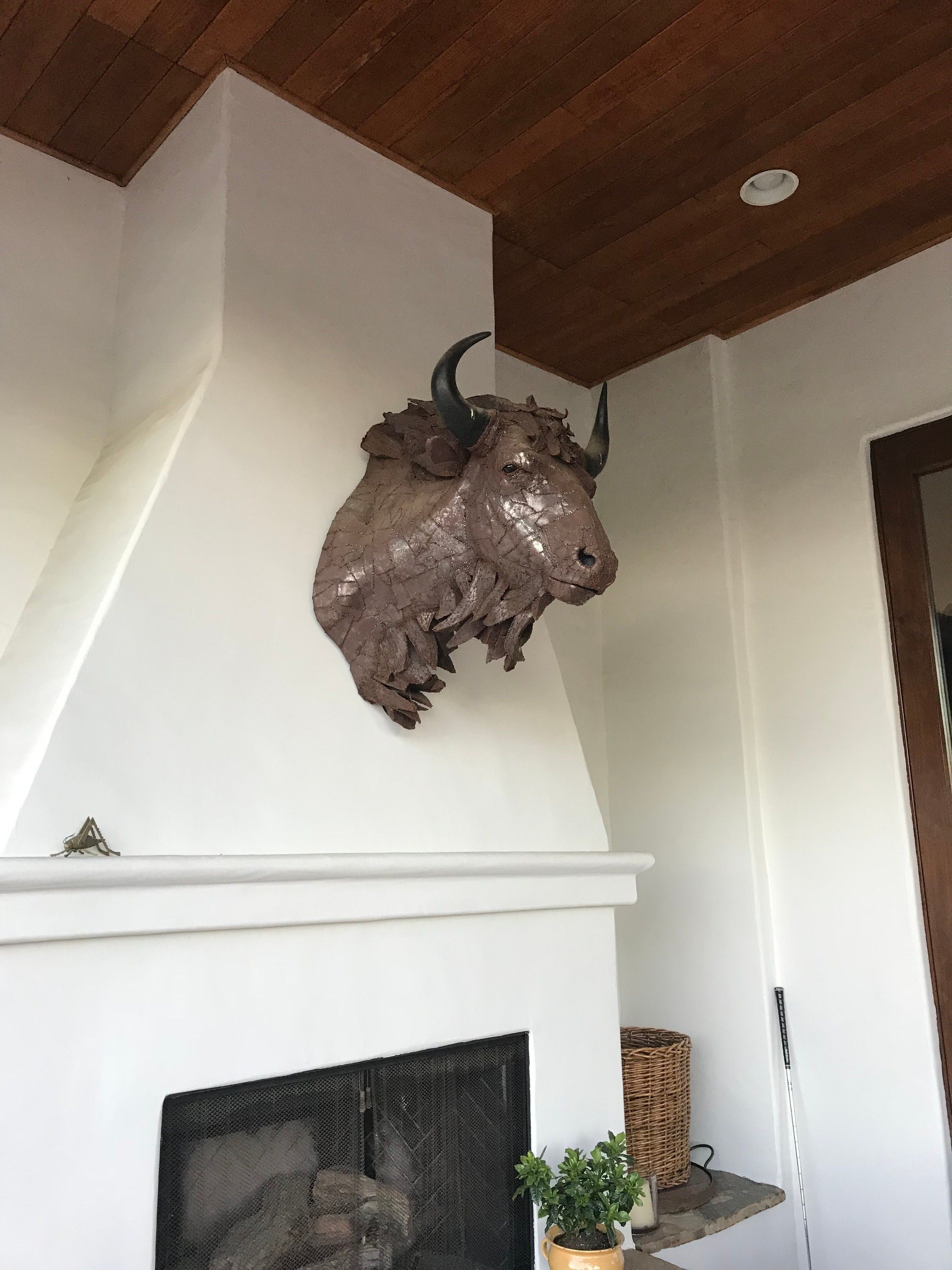 The bison head mounted high on a white chimney breast beneath a wood-panelled ceiling