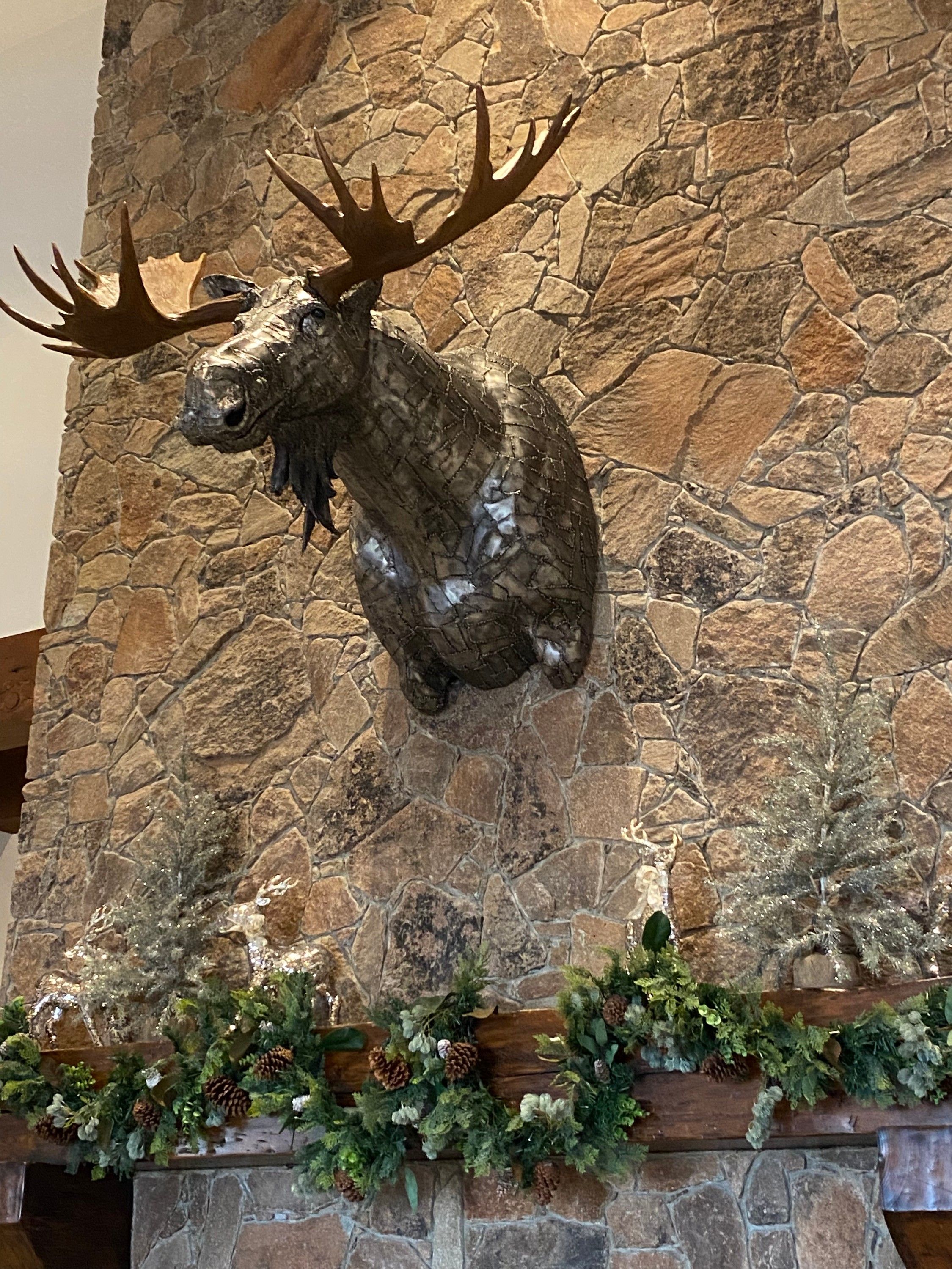 The moose head three-quarters on against the stonework, its muzzle and bell hanging clear of the wall