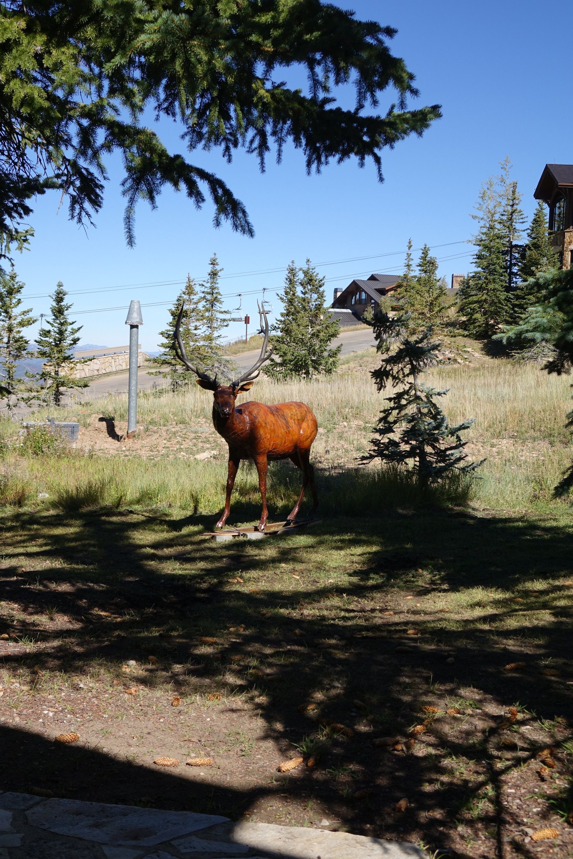 The bronze bull elk standing on a grassy slope below a ski lift, conifers and mountain houses behind it