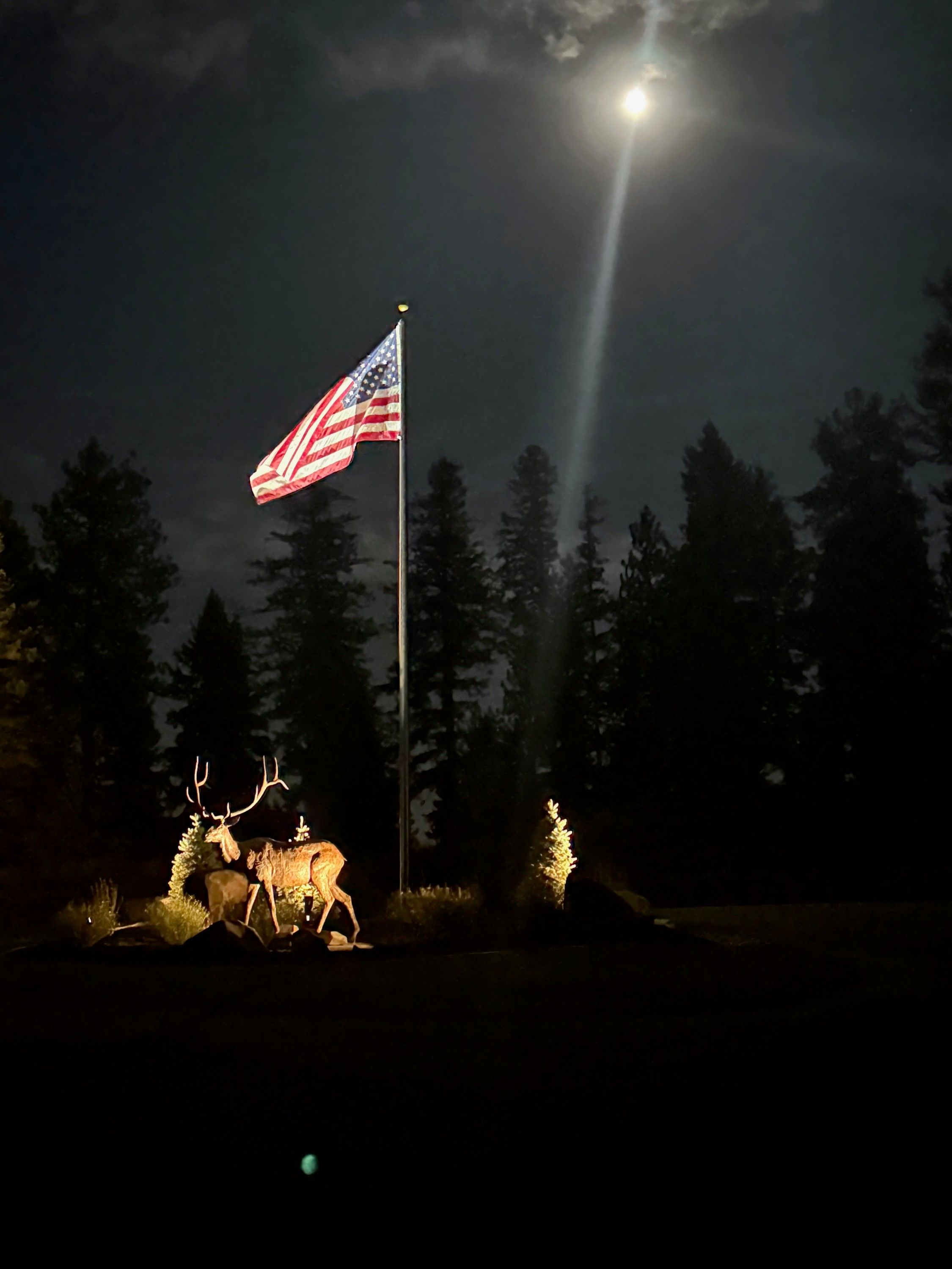The bronze bull elk lit at night below an American flag, a full moon above the trees