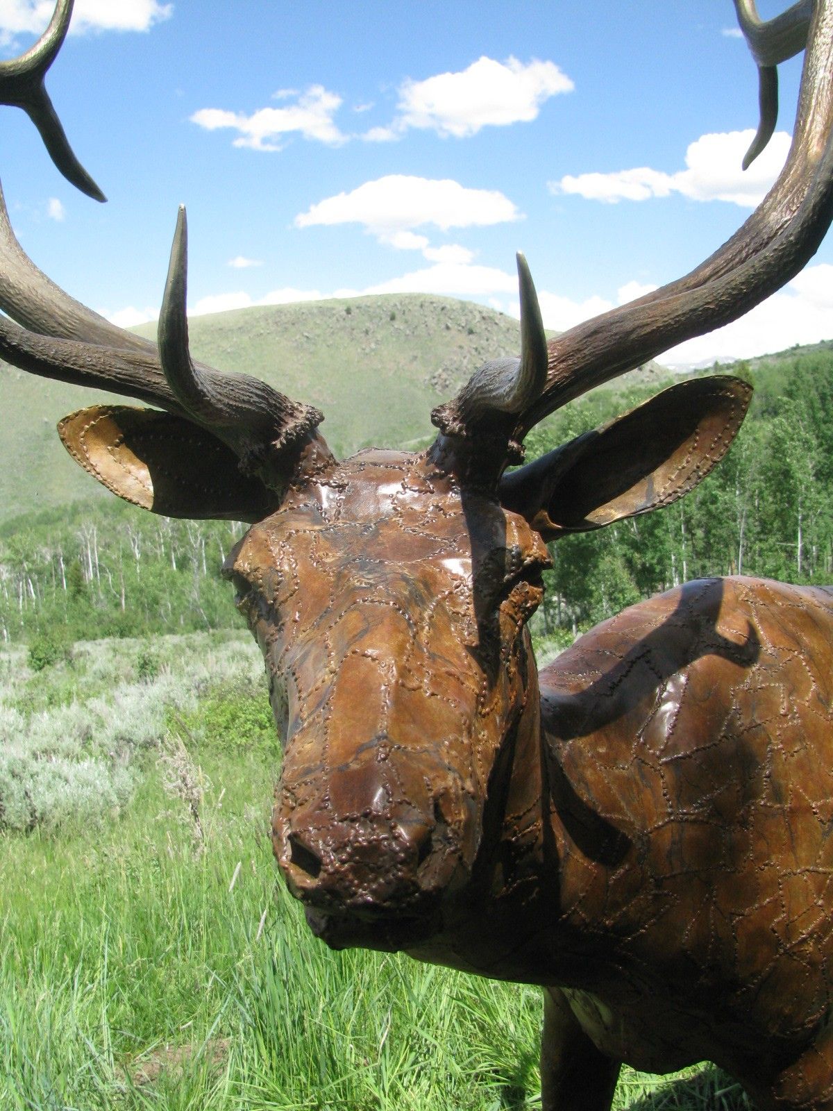 Head of the installed bronze bull elk, hills behind