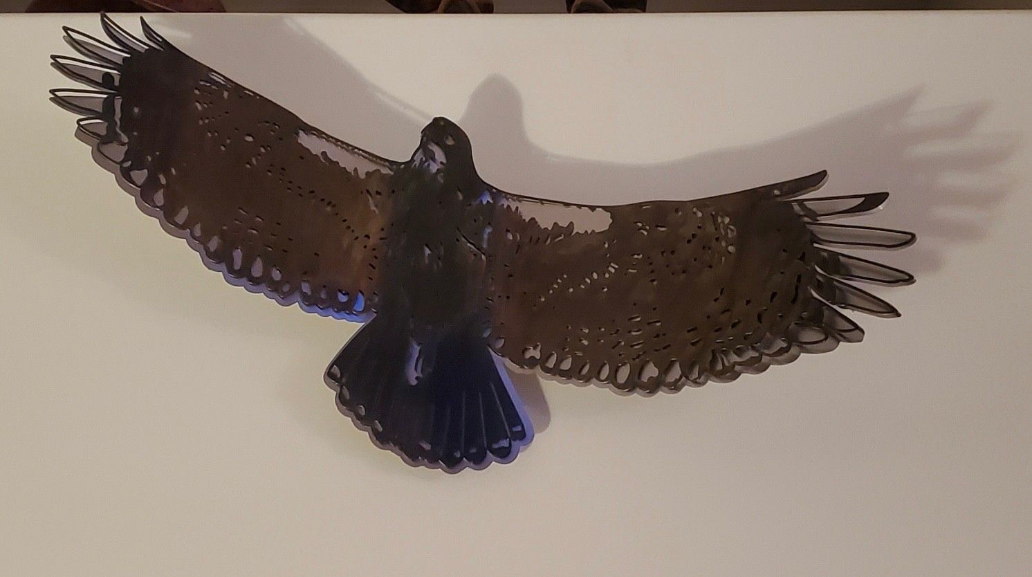 The hawk on its standoff mount, wings spread
