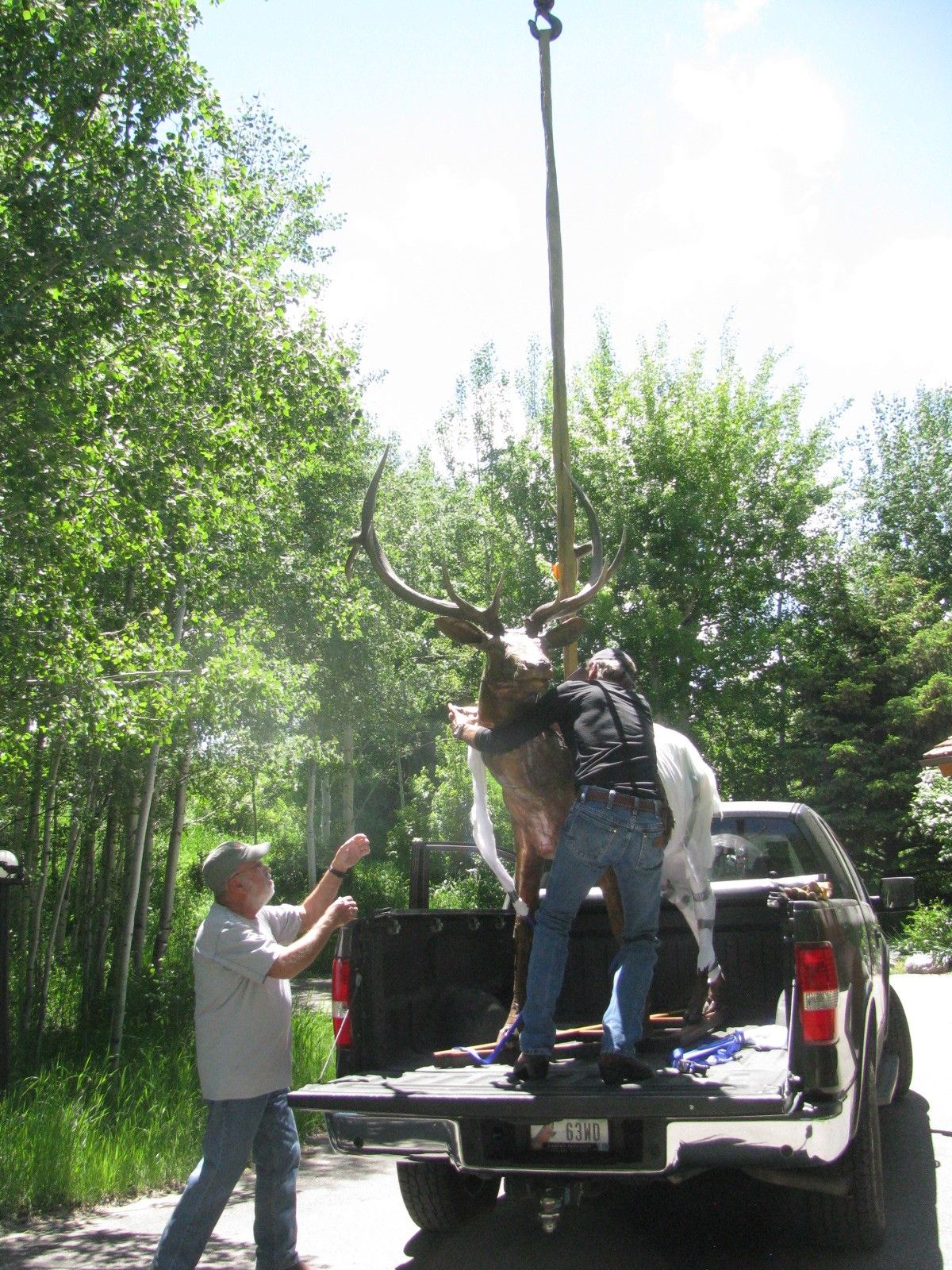Hooking the wrapped elk to a crane in the truck bed