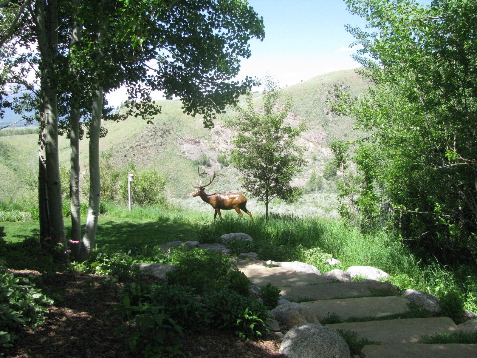 The installed bronze elk seen through aspens along a stone path