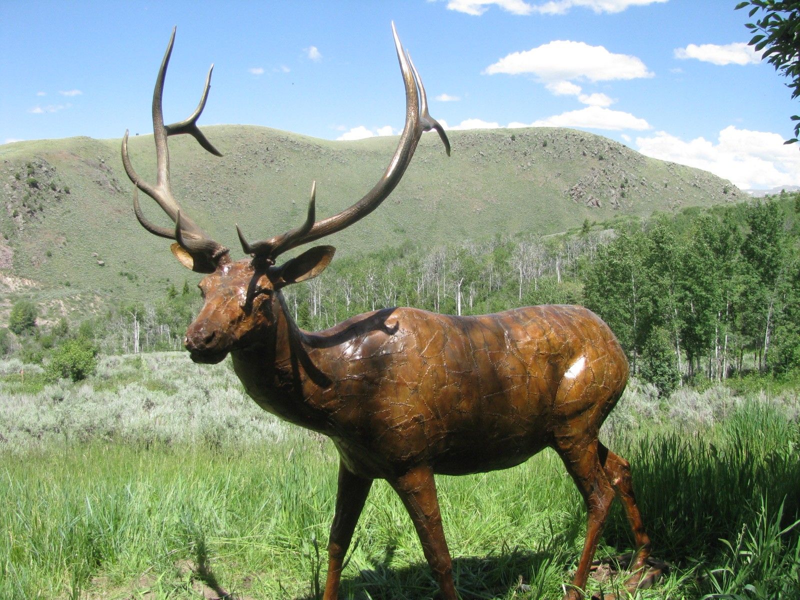 The bronze bull elk installed in tall grass, three-quarter view
